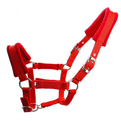 Horse Halter