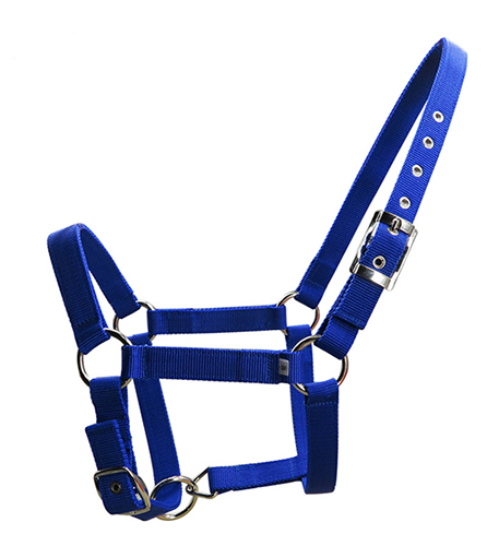 Horse Halter