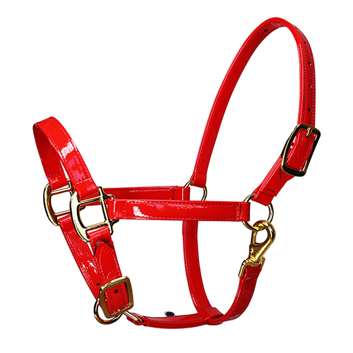 Horse Halter