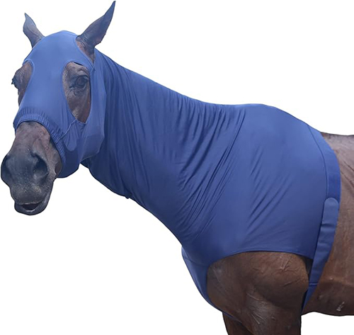 Horse Bodysuit