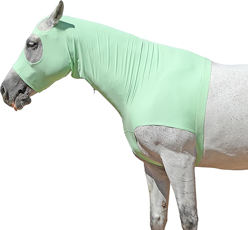 Horse Bodysuit