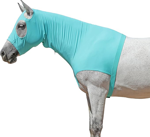 Horse Bodysuit