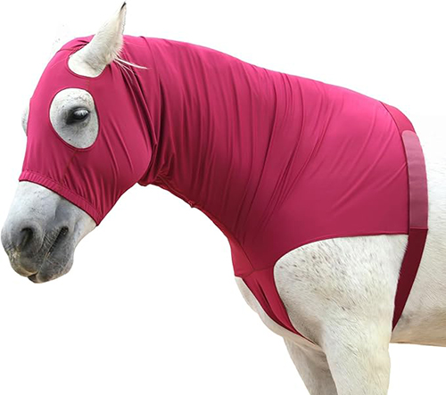 Horse Bodysuit