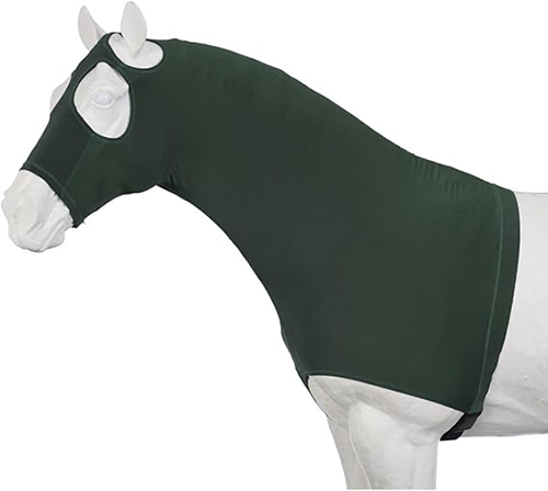 Horse Bodysuit