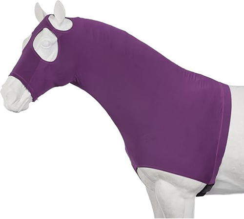 Horse Bodysuit