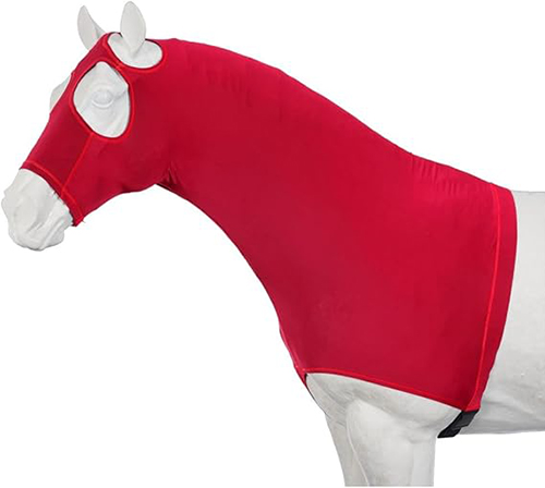 Horse Bodysuit